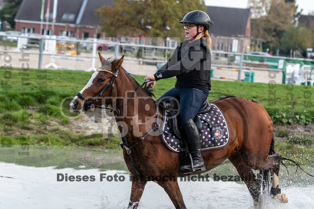 IGV Lehrgang der Sieger der Cups mit Frank Ostholt