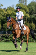 Kronenberg - De Peelbergen (August 2020)