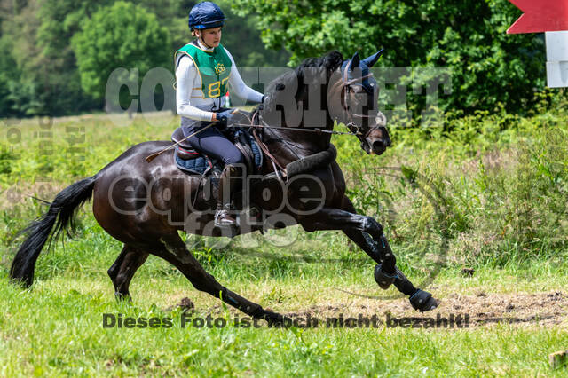 Westerstede Horse Trials (10.-13.06.2021)
