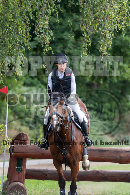 Late-Entry-Vielseitigkeit Langenfeld (11.+13./14.06.2020)