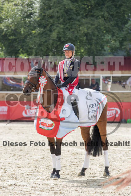 FEI European Championship Eventing 2017