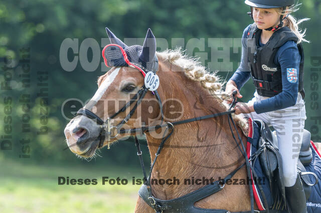 Goldene Schärpe 2021 - Ponys