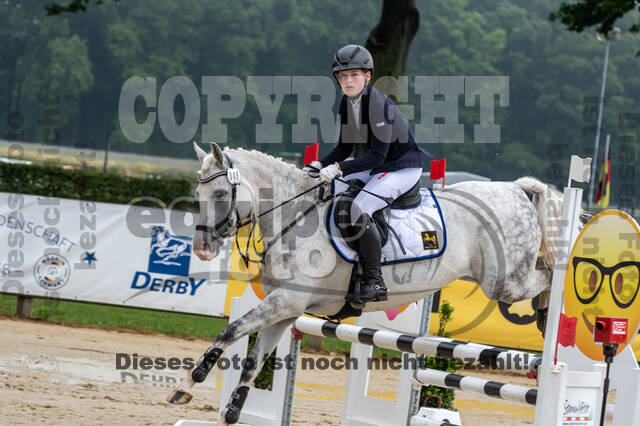 Goldene Schärpe 2021 - Ponys