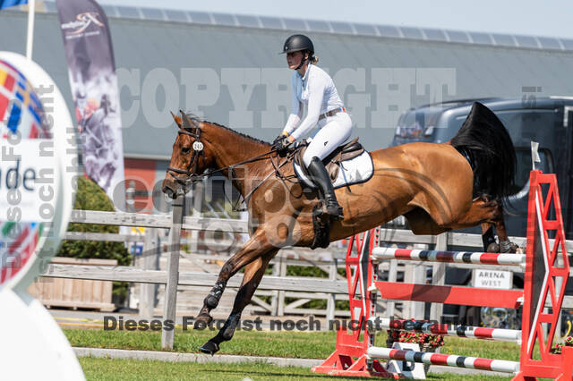 Kronenberg - De Peelbergen (August 2020)