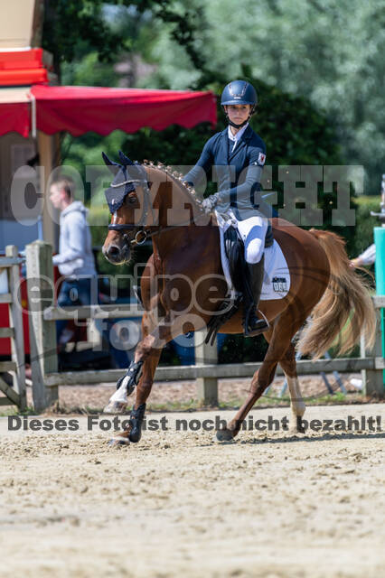 Goldene Schärpe 2021 - Ponys