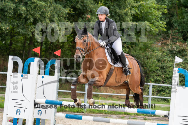 Late-Entry-Vielseitigkeit Langenfeld (06.+07.07.2020)