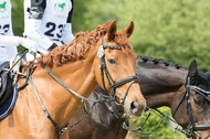 Vielseitigkeitsturnier RuFV Rheurdt
