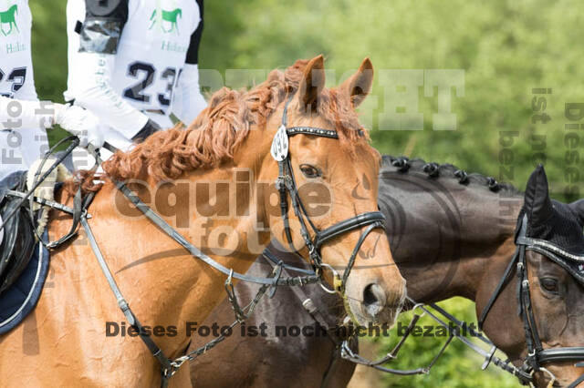 Vielseitigkeitsturnier RuFV Rheurdt