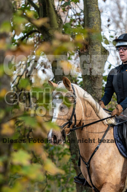 IGV Lehrgang der Sieger der Cups mit Frank Ostholt