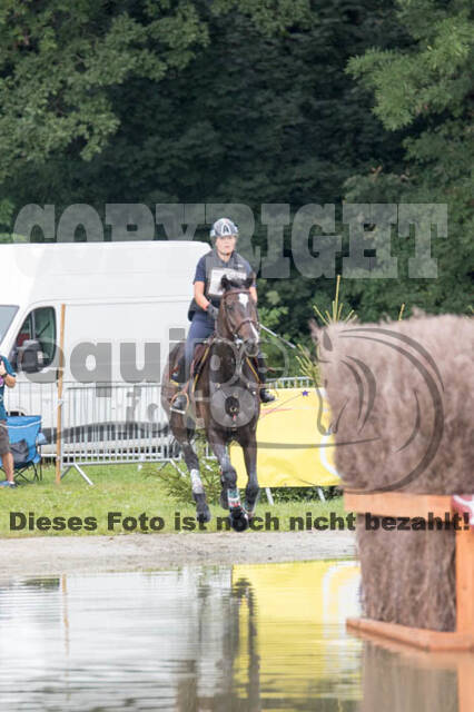 FEI European Championship