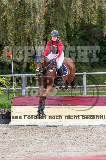 Goldene Schärpe 2020 - Pferde