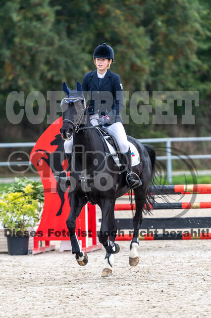 Reiter Schleswig-Holstein