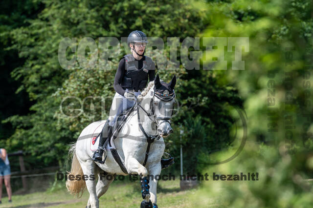 Goldene Schärpe 2021 - Ponys