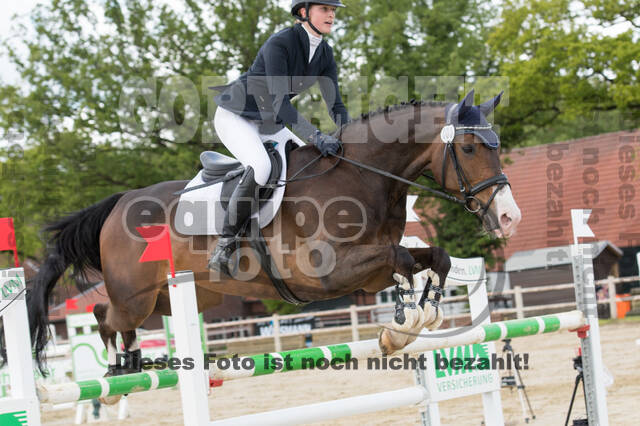 Sterne über Münster 2019 - CCI***S