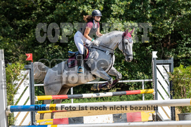RFV Dinslaken-Hiesfeld (Herbstturnier)