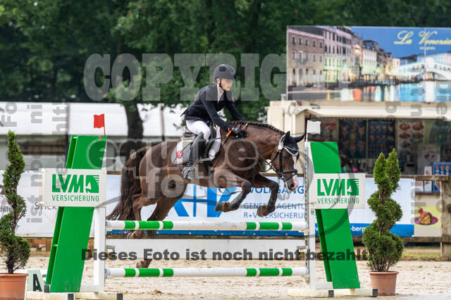 Goldene Schärpe 2021 - Ponys