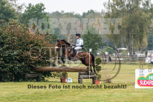Deutsche Meisterschaft Vielseitigkeit (Luhmühlen)