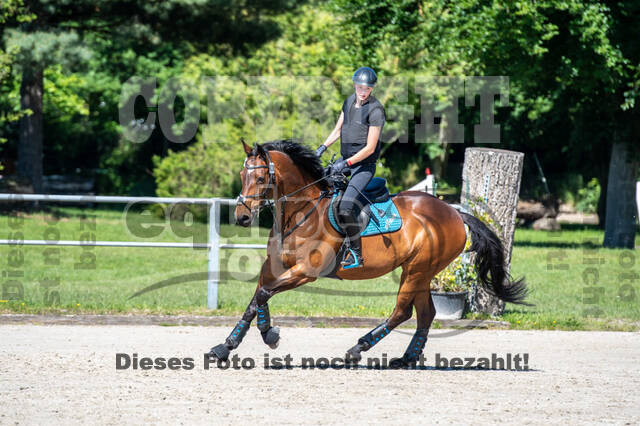 Test of Choise Langenfeld (29.+30.05.2021)