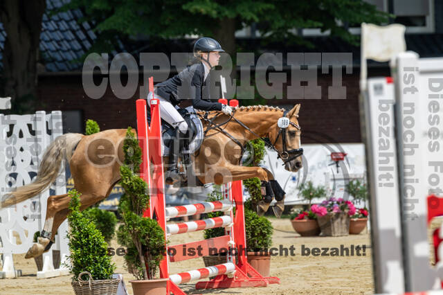 Goldene Schärpe 2021 - Ponys
