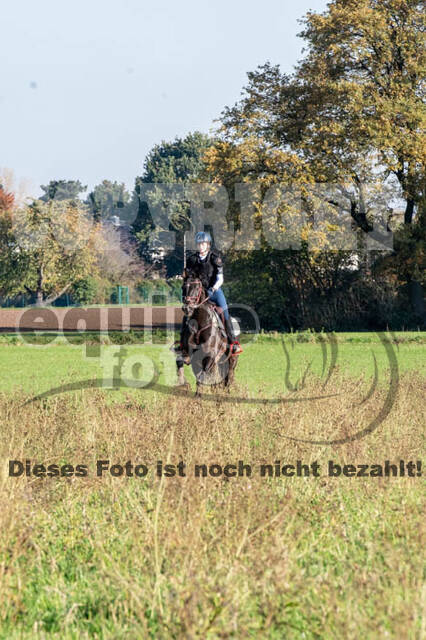 Vielseitigkeitslehrgang mit Jürg Kurbel (9.+10.11.2019)