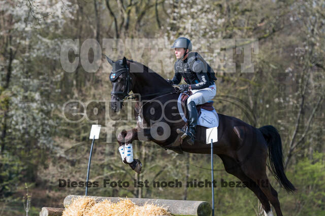 Arne Bergendahl , Rocky Noir 3