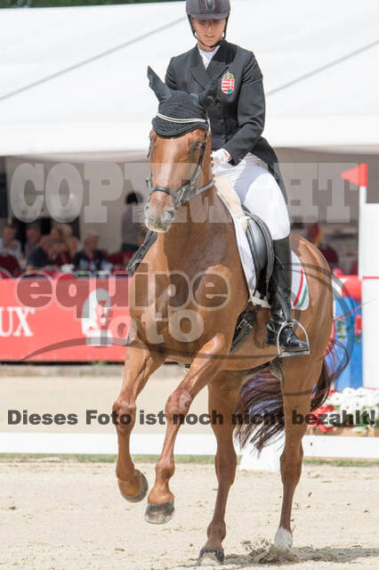 FEI European Championship Eventing 2017