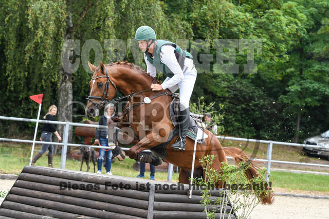 Late-Entry-Vielseitigkeit Langenfeld (11.+13./14.06.2020)