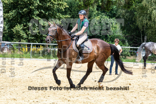 Hunter Geländetraining 10.07.2021 (Sonsbeck)