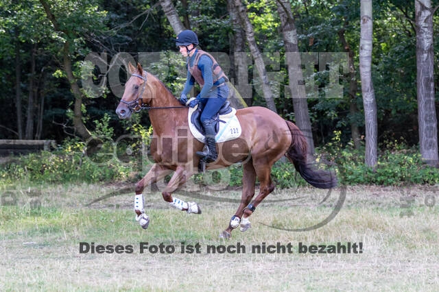 Late-Entry Vielseitigkeit Hamminkeln/Wesel (01.+02.08.2020)