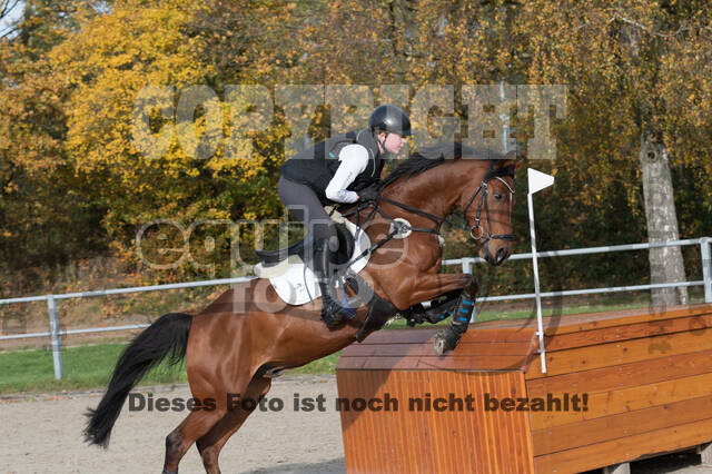 IGV Lehrgang der Sieger der Cups mit Frank Ostholt