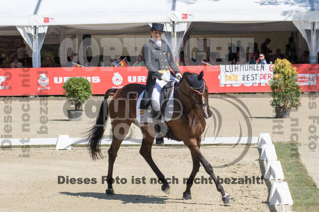 FEI European Championship Eventing 2017