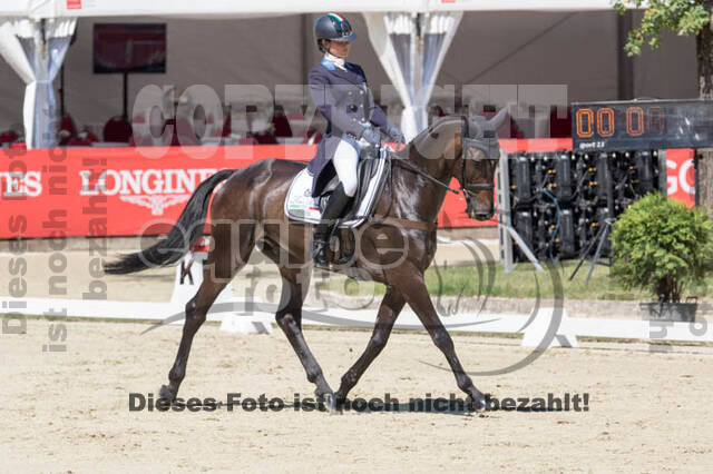 FEI European Championship