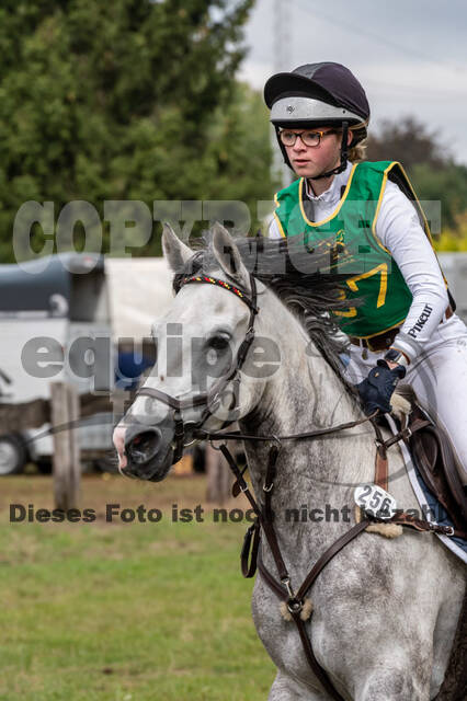 Vielseitigkeit RSV Wesel Obrighoven (26.+27.09.2020)