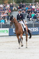 FEI European Championship Eventing 2019