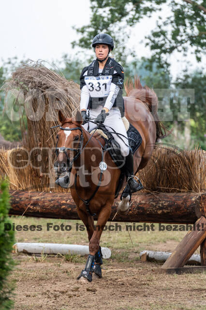 De Peelbergen (August 2020)