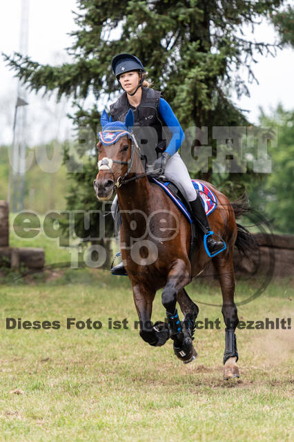 Late-Entry-Vielseitigkeit Langenfeld (11.+13./14.06.2020)