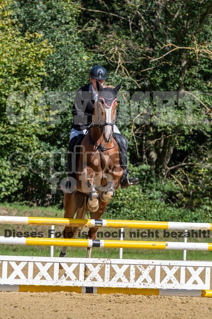 RFV Dinslaken-Hiesfeld (Herbstturnier)