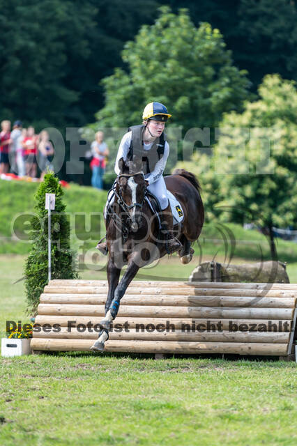 Goldene Schärpe 2021 - Ponys