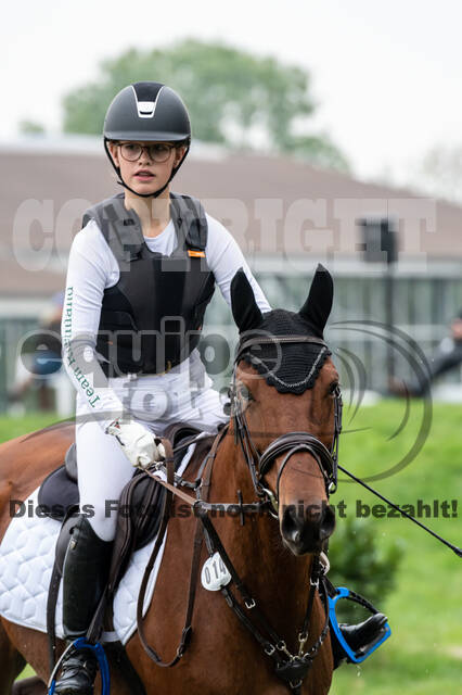 Goldene Schärpe 2020 - Pferde