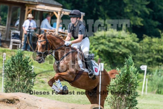 Goldene Schärpe 2021 - Ponys