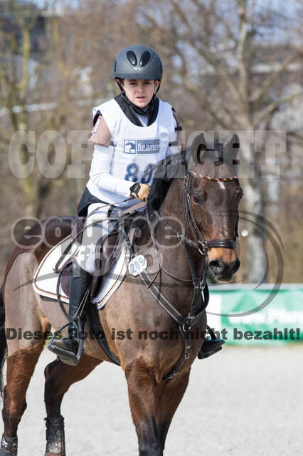 Eventing Langenfeld