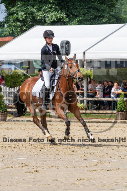 Goldene Schärpe 2021 - Ponys