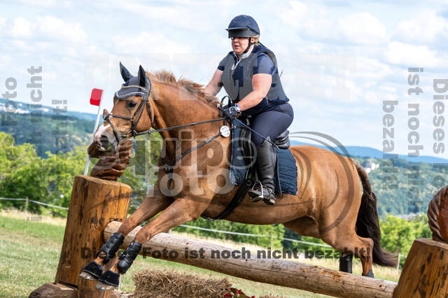 Bonn-Rodderberg Late-Entry-Vielseitigkeit (30.06.2020)