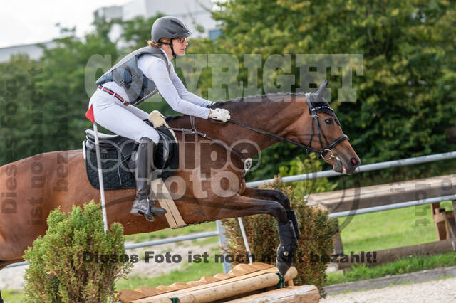 Late-Entry-Vielseitigkeit Langenfeld (06.+07.07.2020)