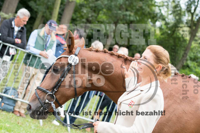 FEI European Championship Eventing 2017