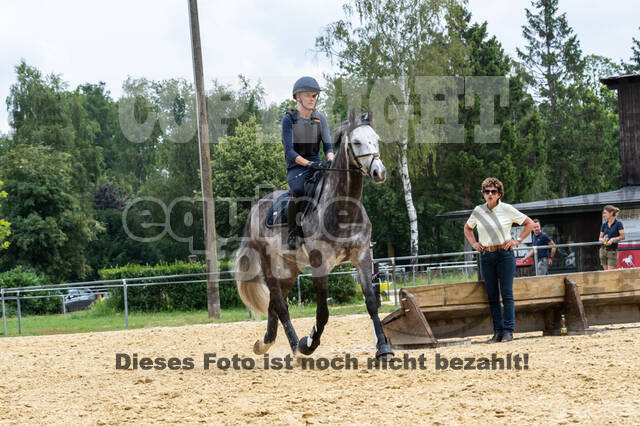 Hunter Geländetraining 10.07.2021 (Sonsbeck)