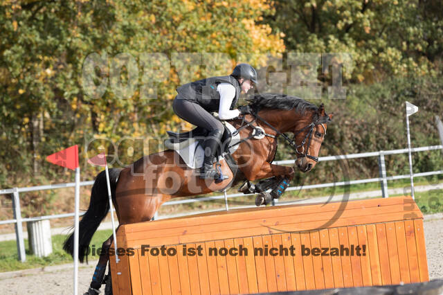 IGV Lehrgang der Sieger der Cups mit Frank Ostholt