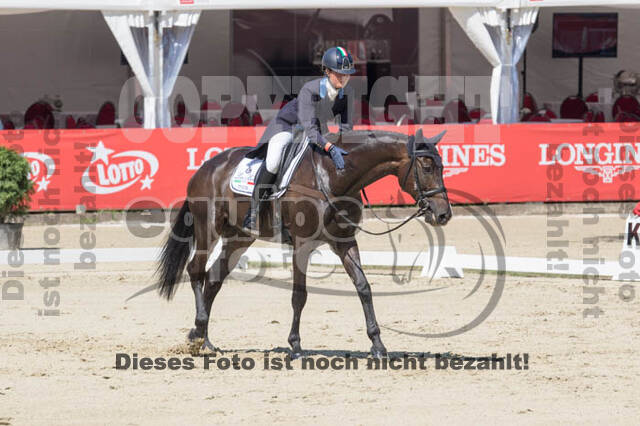 FEI European Championship