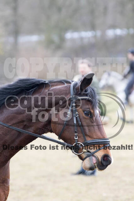 Geländetrainings RSV St. Hubertus Wesel Obrighoven