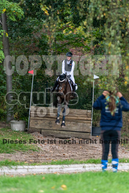 Goldene Schärpe 2020 - Pferde